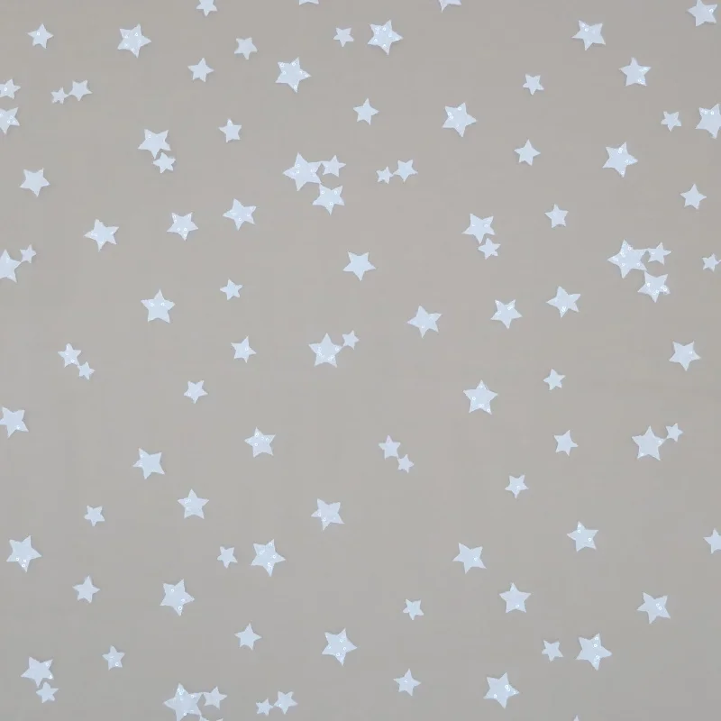 White Sequin Stars on Embroidered Tulle Fabric